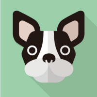 Luu